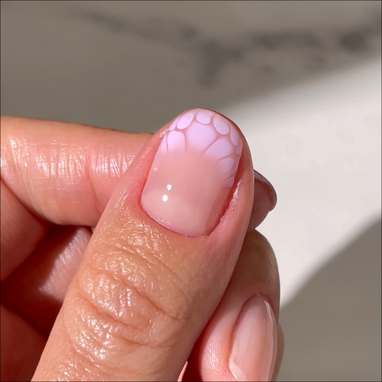 Blooming Gel Kit