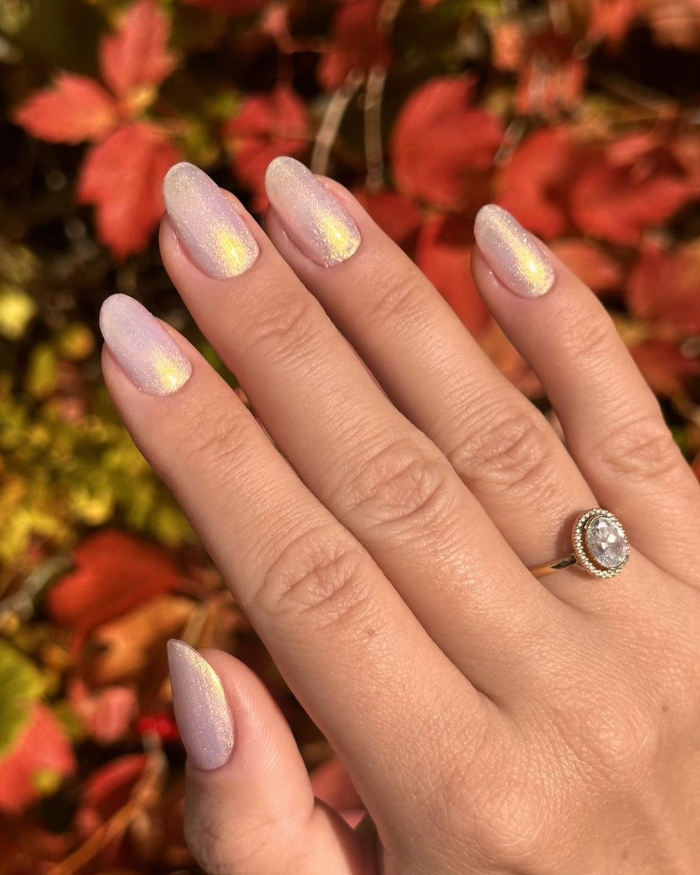 265 Memory Box on nails